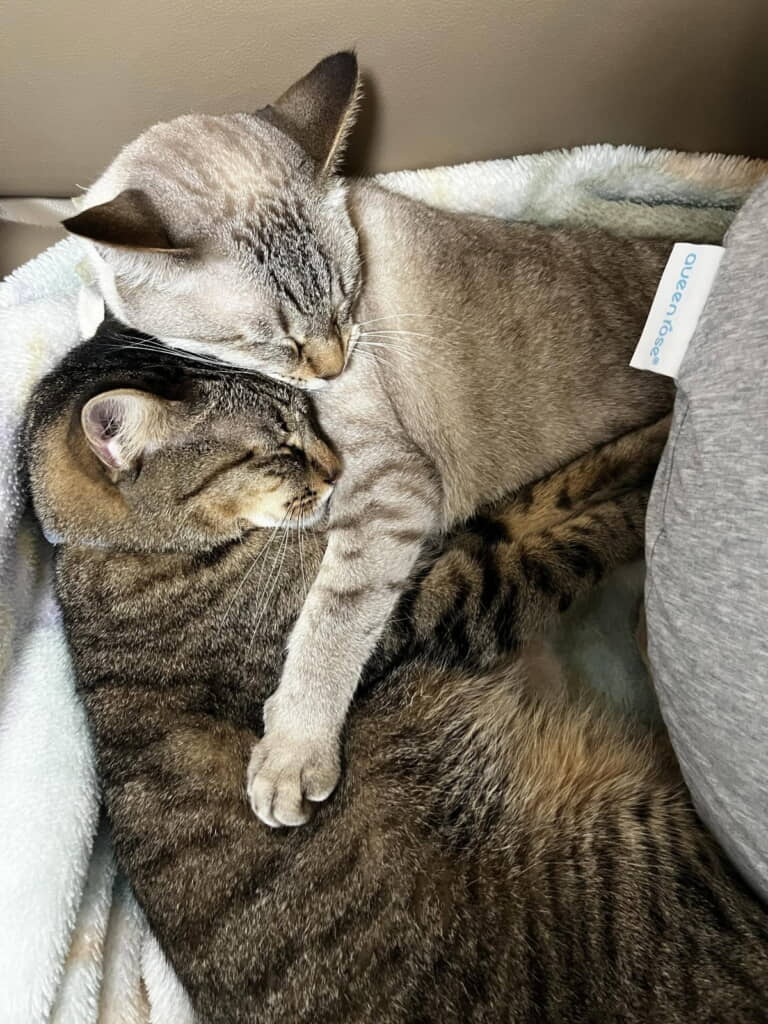 相変わらず仲良しさんです