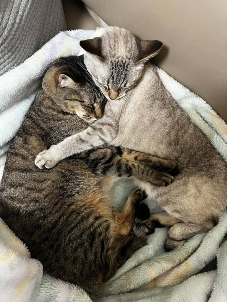 強い絆が感じられますね