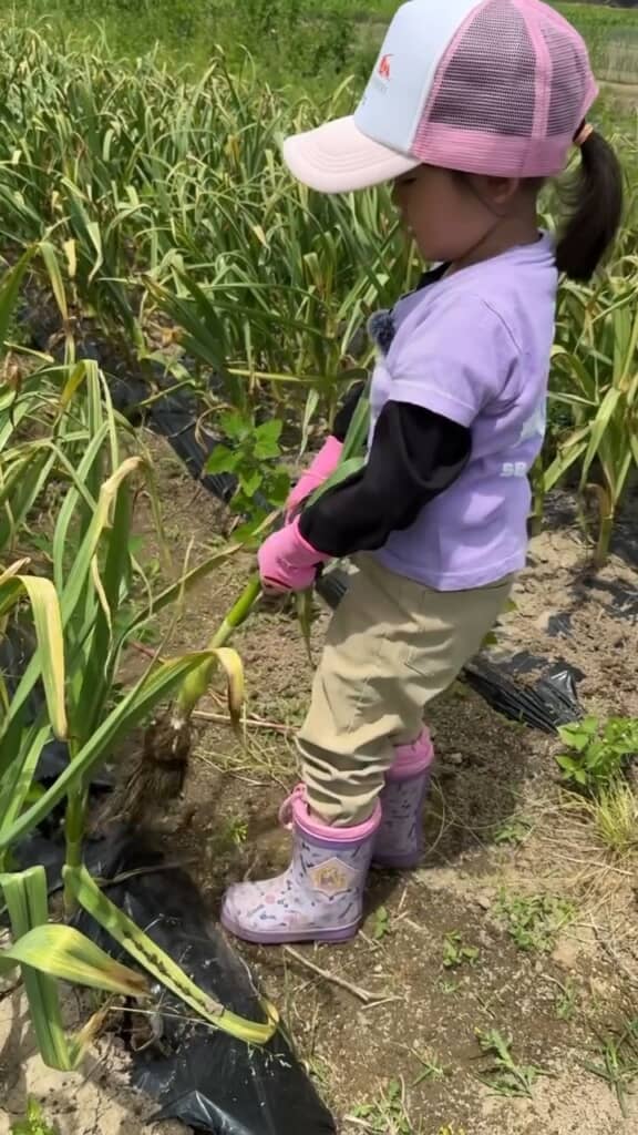 さすがにスポッと抜けました