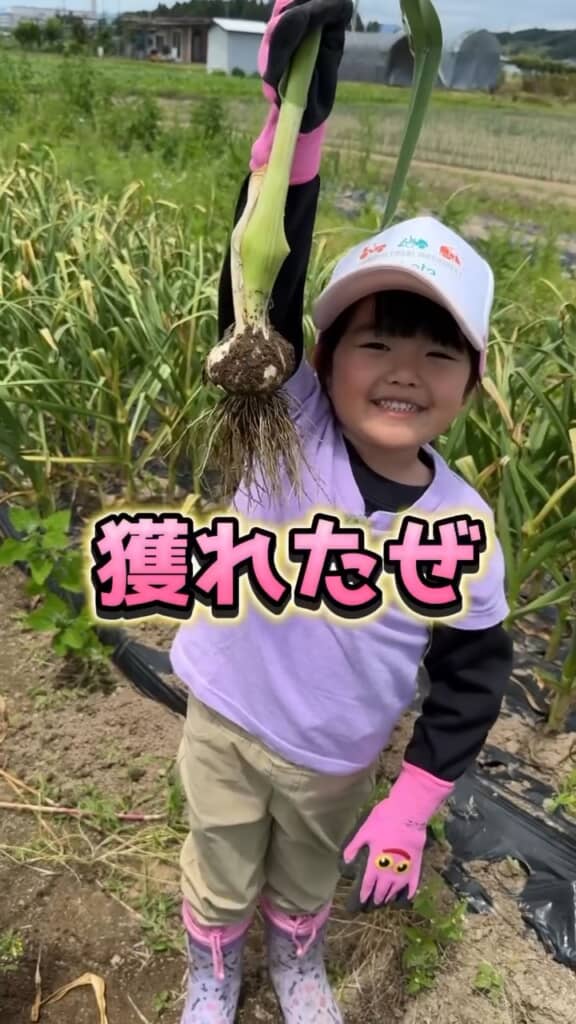 大きくて良さげ……！