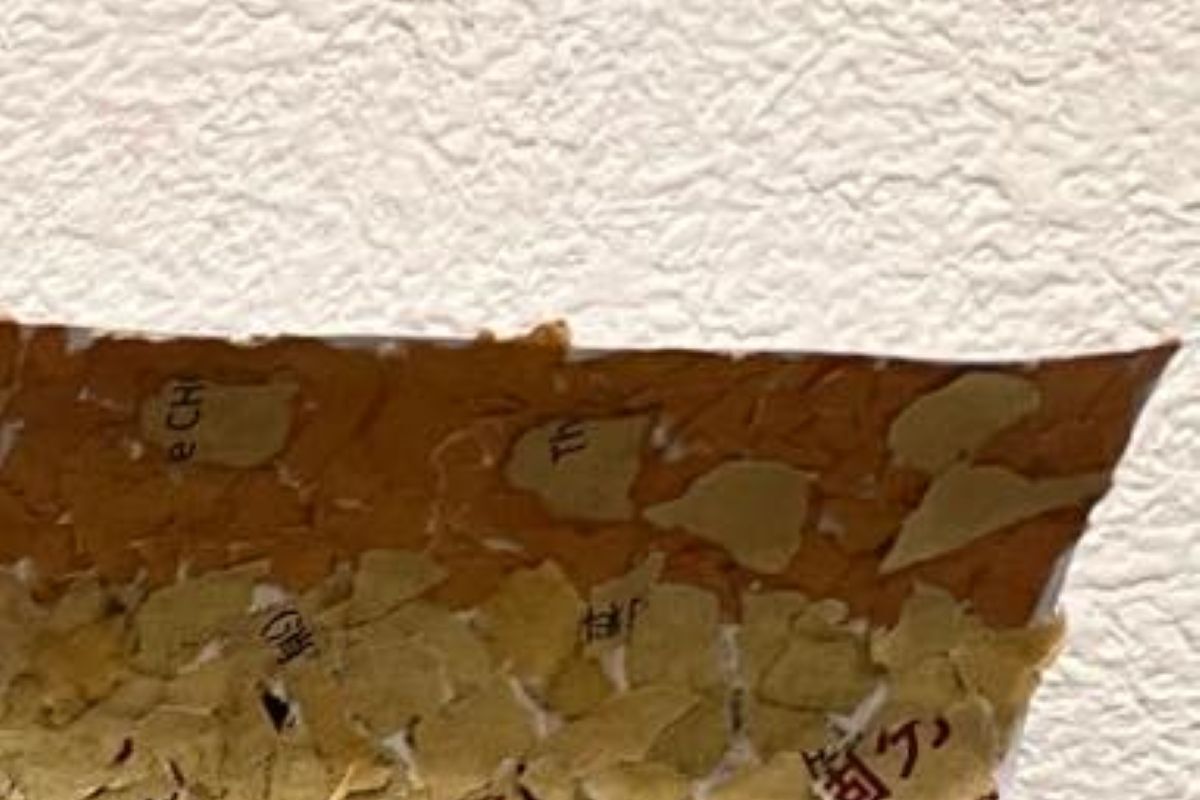 「本当に新聞ですか？！」　小5娘が新聞をちぎってペタペタ→3週間後……　完成した絵に「天才やん」「万博で売ってそう」 | 育児 ねとらぼ