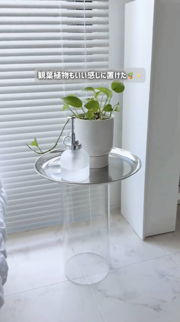 観葉植物にもぴったり