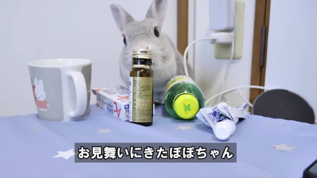 風邪でダウンした飼い主さん