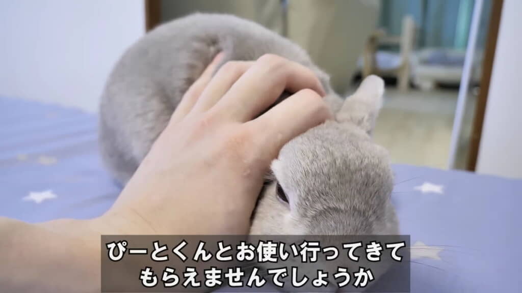 ぽぽちゃん、お使い行ける？