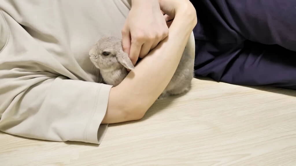 寄り添ってくれる優しいぽぽちゃん