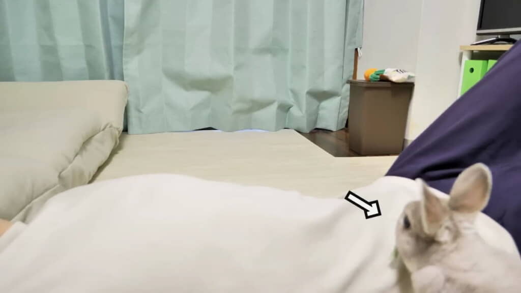 何か持って来ました