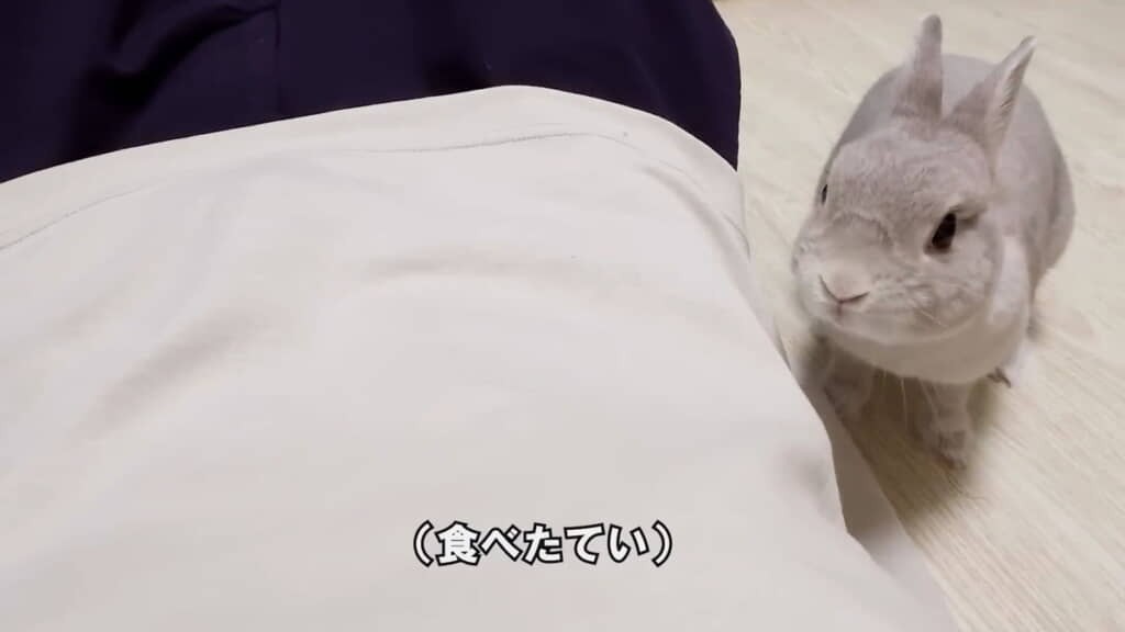 おいしくいただきました（というてい）