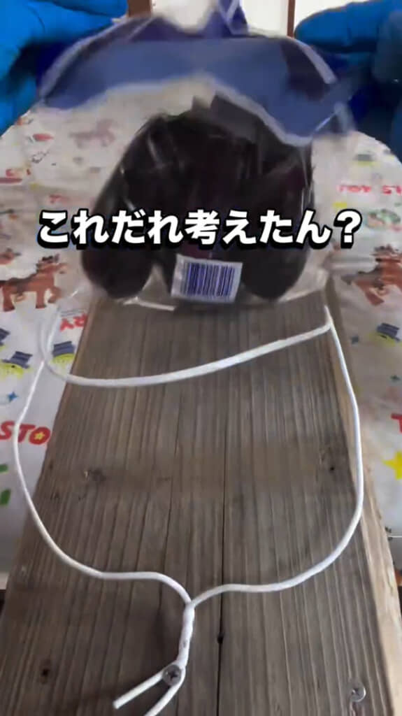 あっという間にナスを袋に詰めることができました！