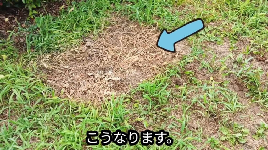 さらに1日太陽光に当てた結果