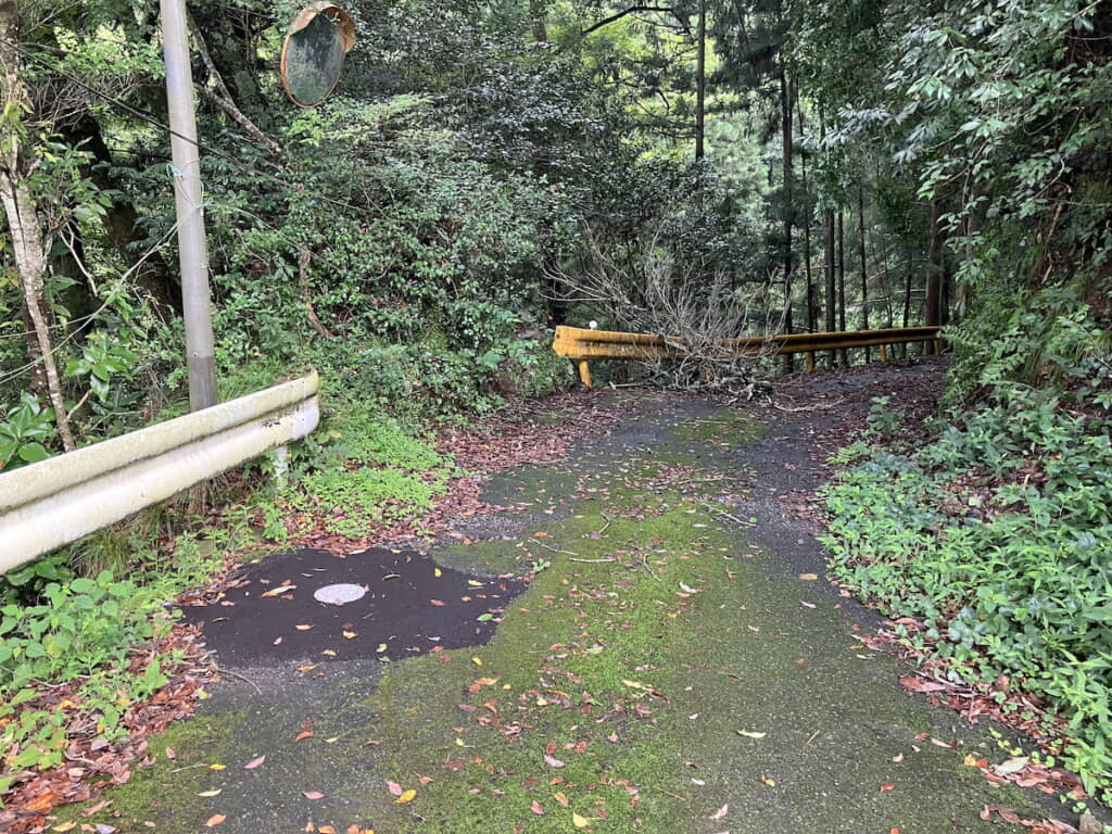 あまり車が通らないのか荒れ果て気味の舗装道路
