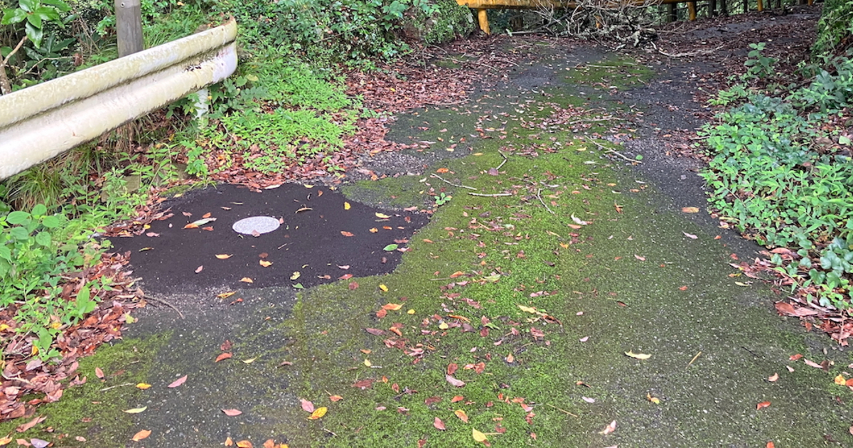 1枚の風景から場所を尋ねてみると→「なんで分かるんだよ……怖いよ……」　猛者なら一発の“ジオゲッサー”な問いかけに反響（1/3） | ライフスタイル ねとらぼ