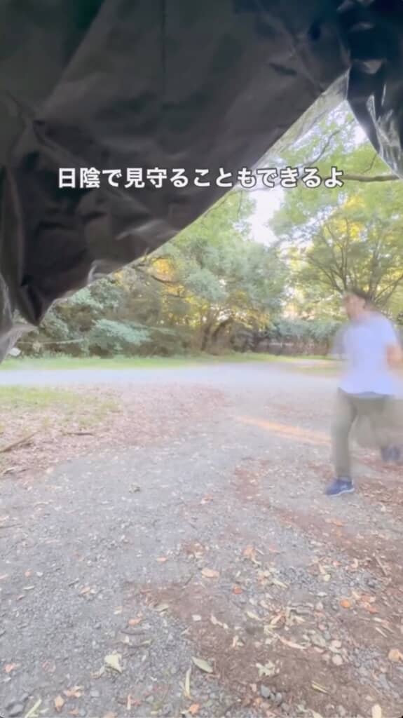 日陰が作れるって良いですね