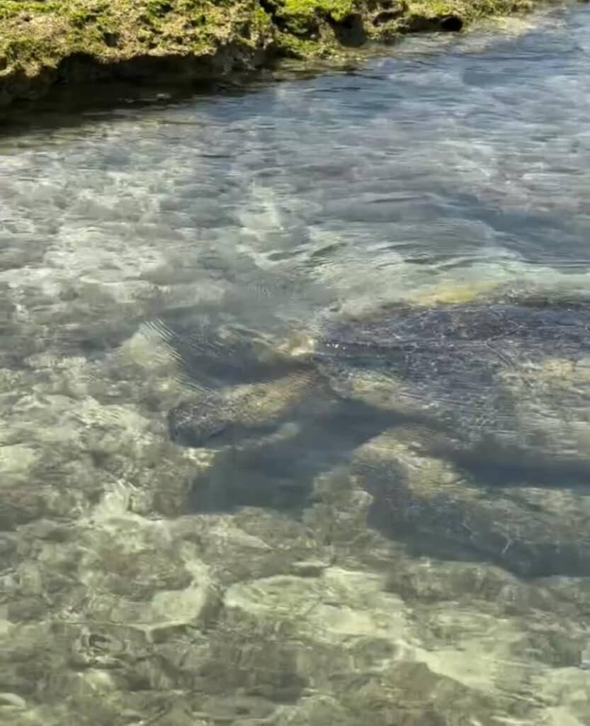 ゆっくり動いてる！