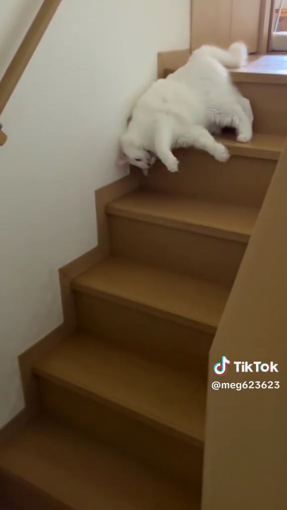 落ちているのではありません