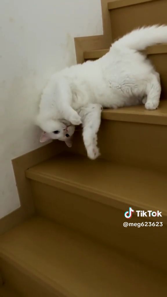 上手に下まで流れ着きました