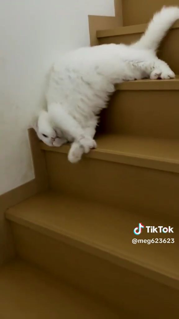 流れているのです……