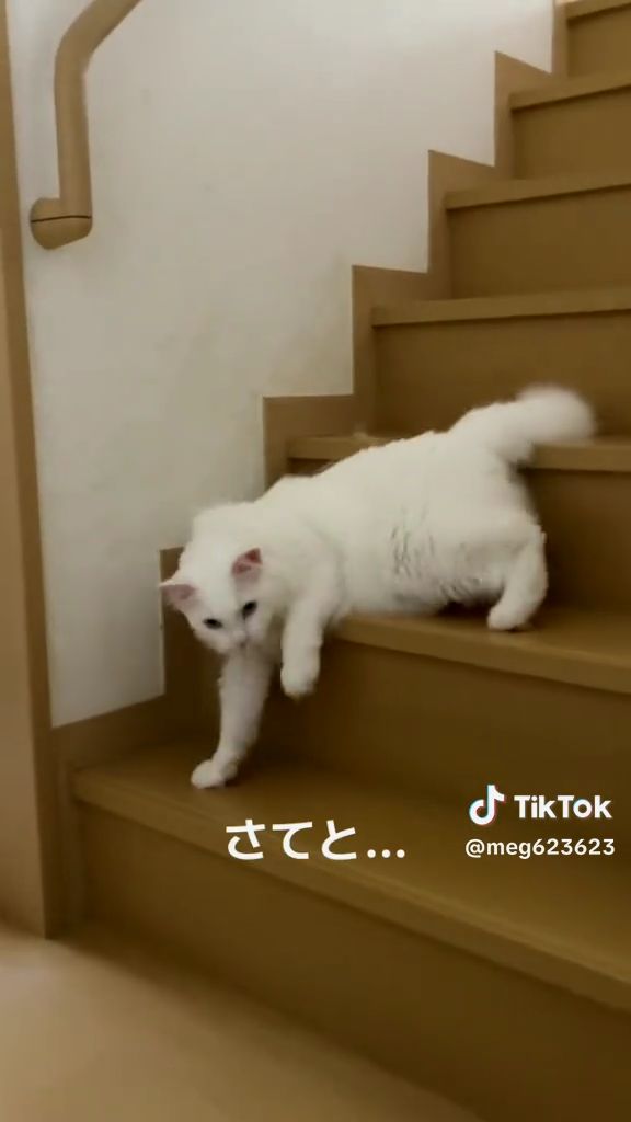 確認に行きます