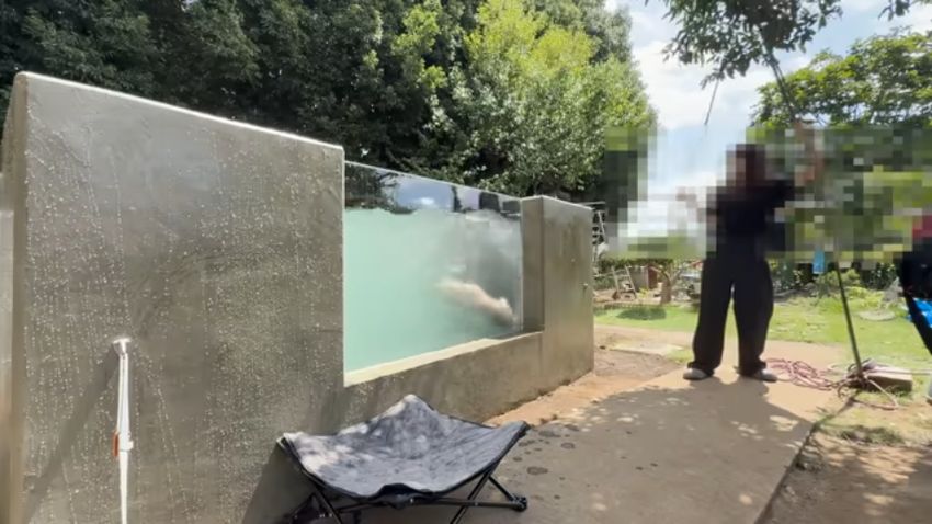 釣られまいと抵抗する投稿者