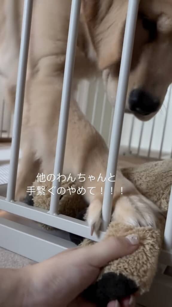 ふみふみして必死の抵抗