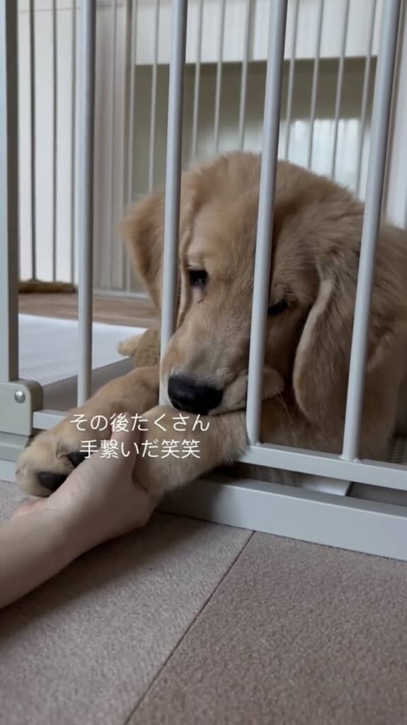 しっかり甘えさせてあげました