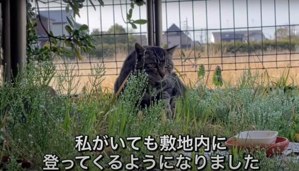 人がいても敷地内に入ってくるように