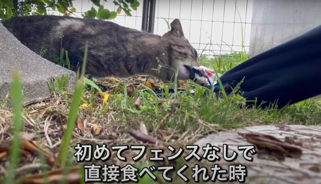 少しずつできることを増やしていきます