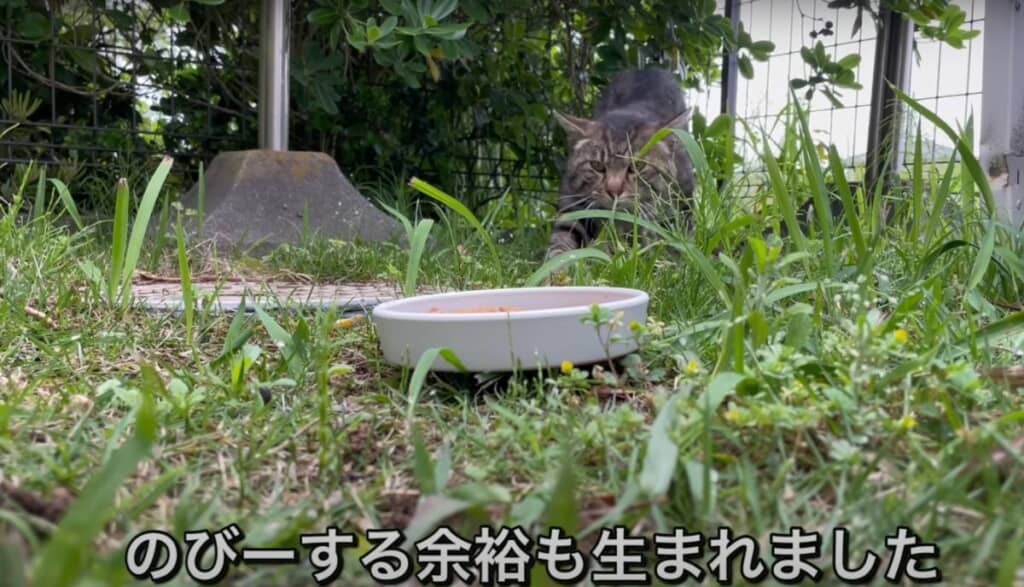 慣れてきて「のびー」をする場面も