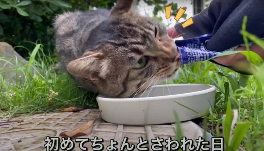 座りこみ作戦で触ることに成功！