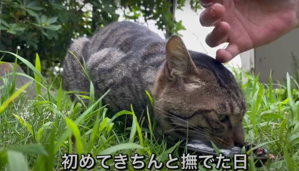 心を開いてくれてる！