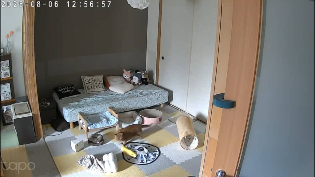 自分で動かしている姿に胸がキュッとなる……！