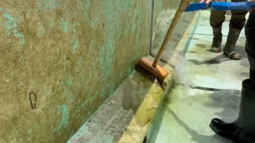 水を抜いたプールの壁を掃除