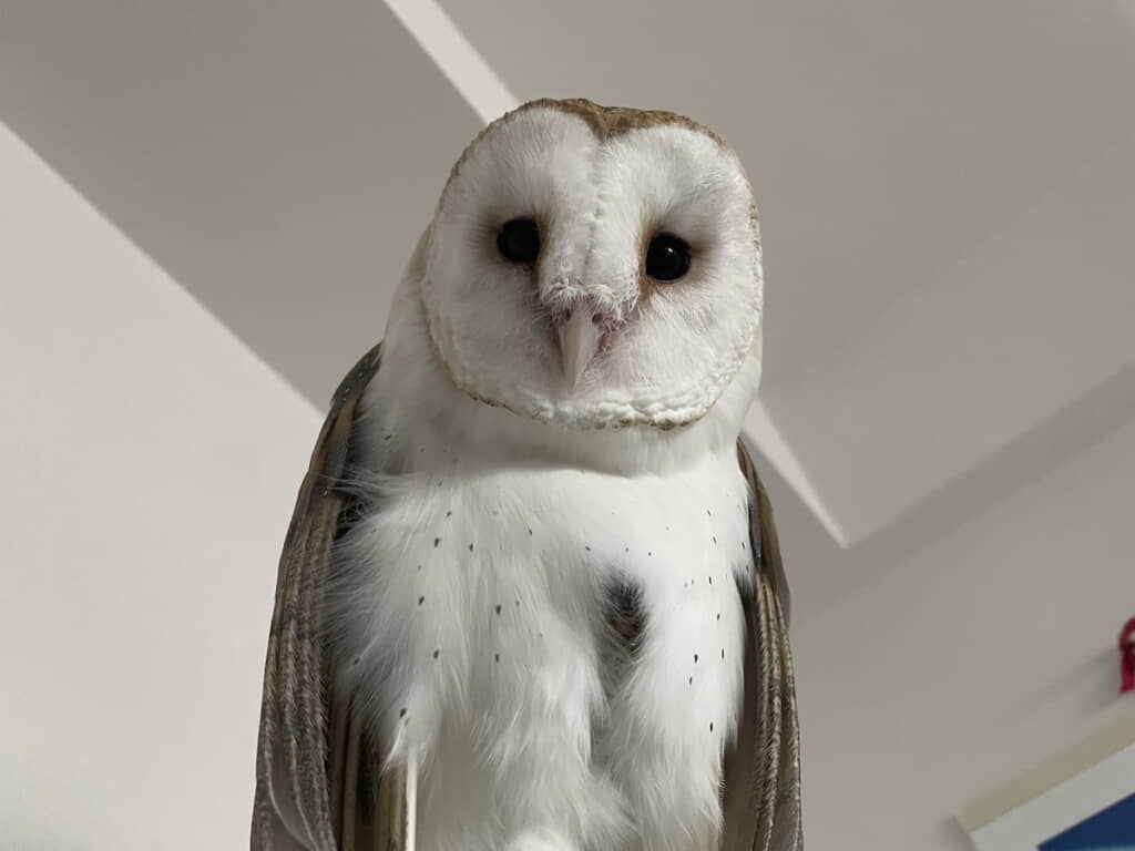 優しいお顔にキュン