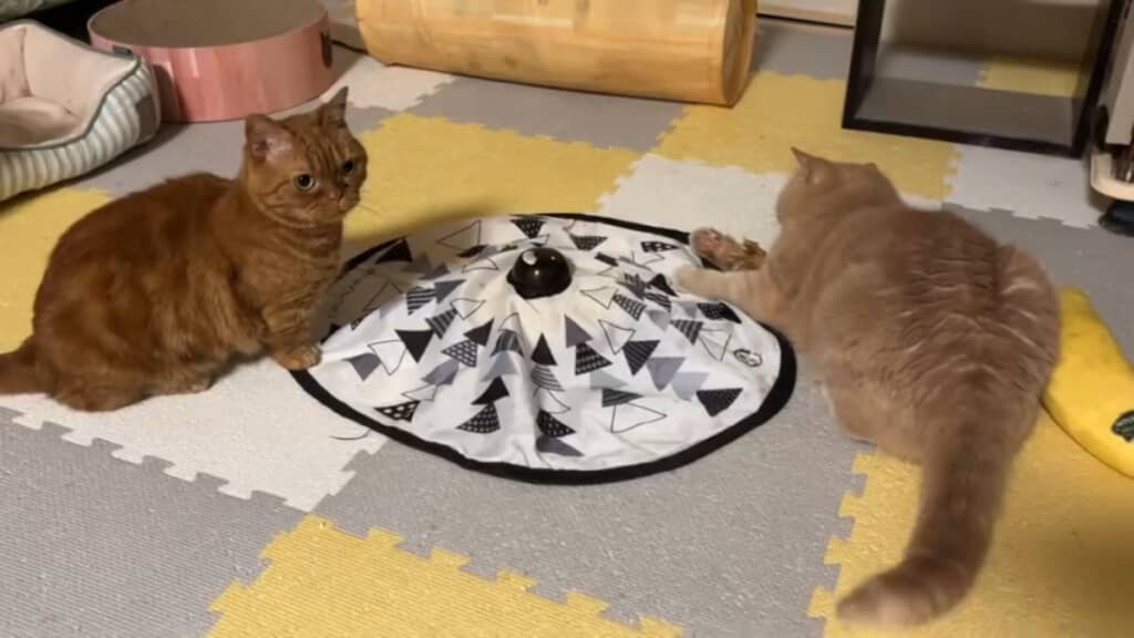 ふたりで一緒に