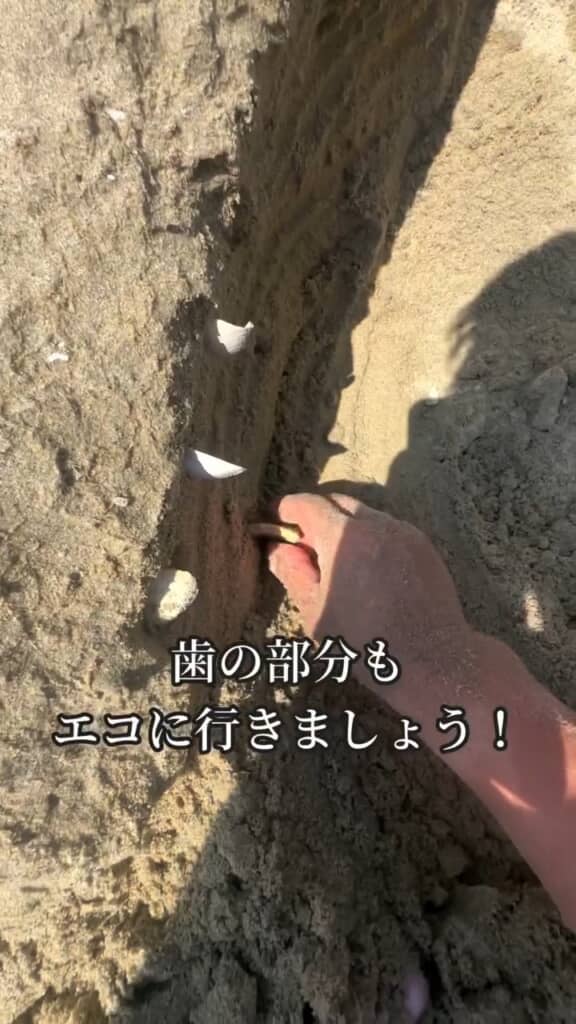 海岸で拾ったものを歯に