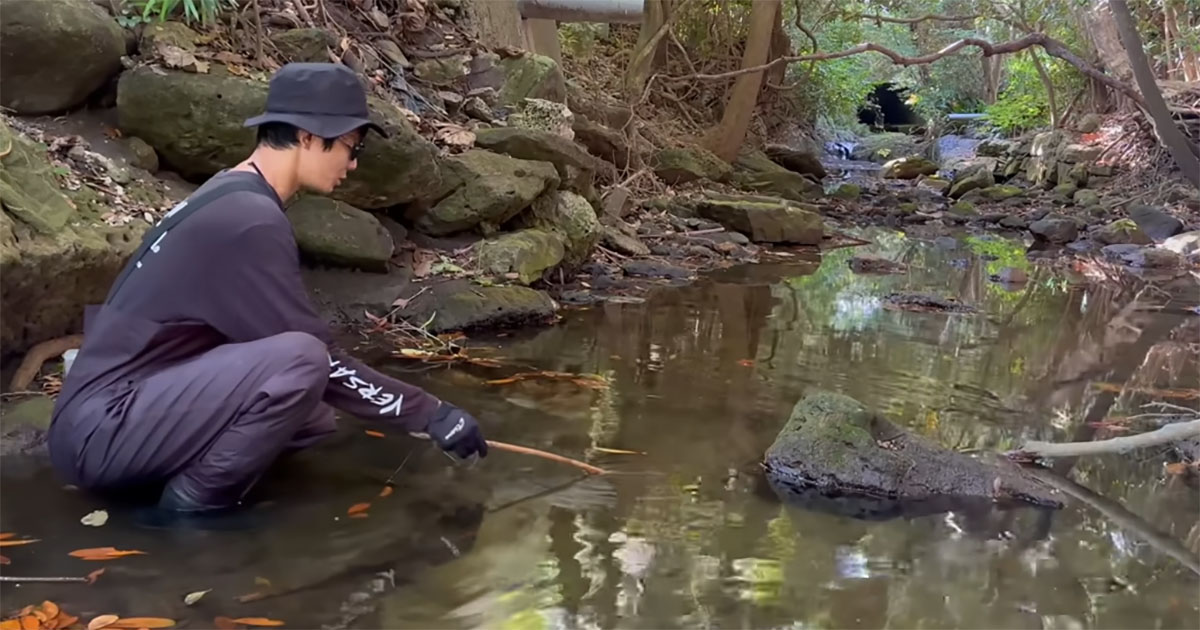 名もなき小川の岩の下にミミズを差し込むと……　出てきた“長～い影”に「驚きました」「最高ですね！」（1/3） | その他生き物 ねとらぼ