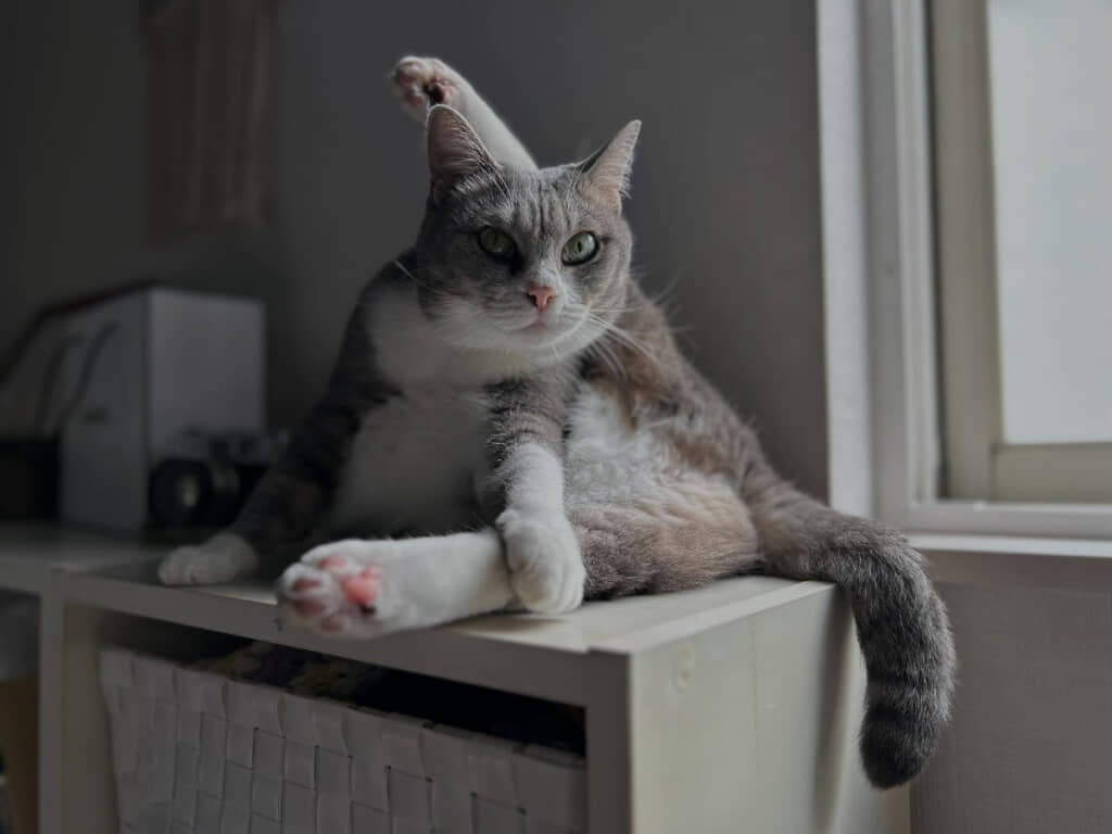 大胆ポーズも美しい