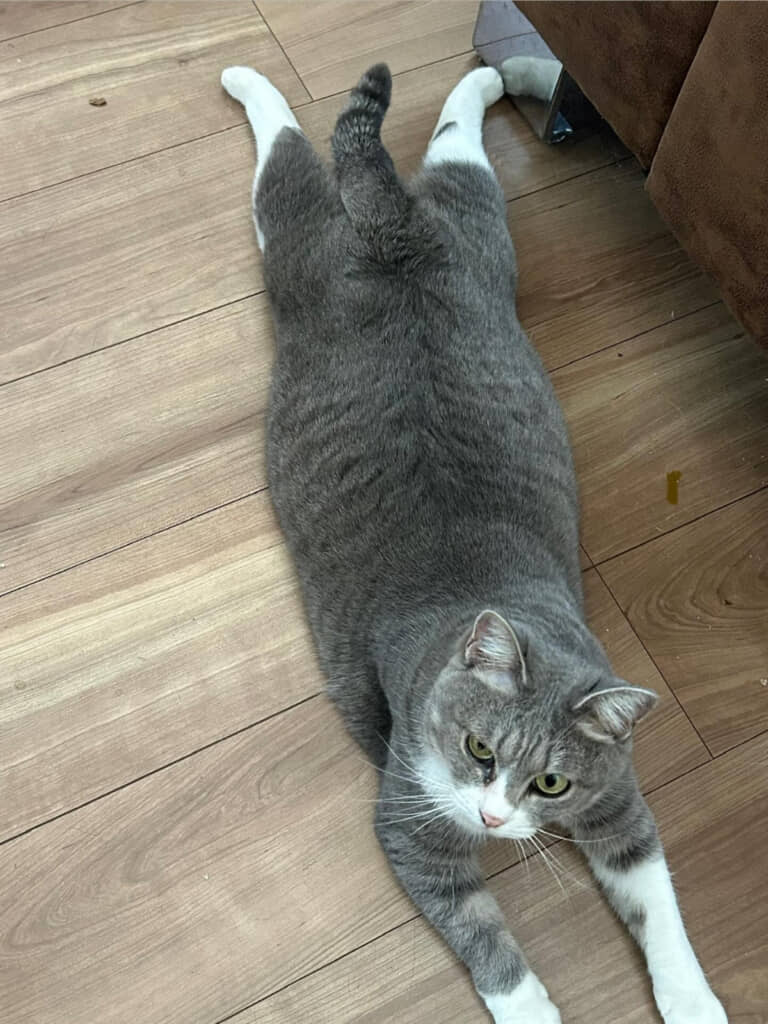 両足をぺたりと床につけてリラックスモード