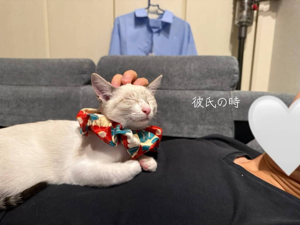 ちょっとほほ笑んでいるかのよう……