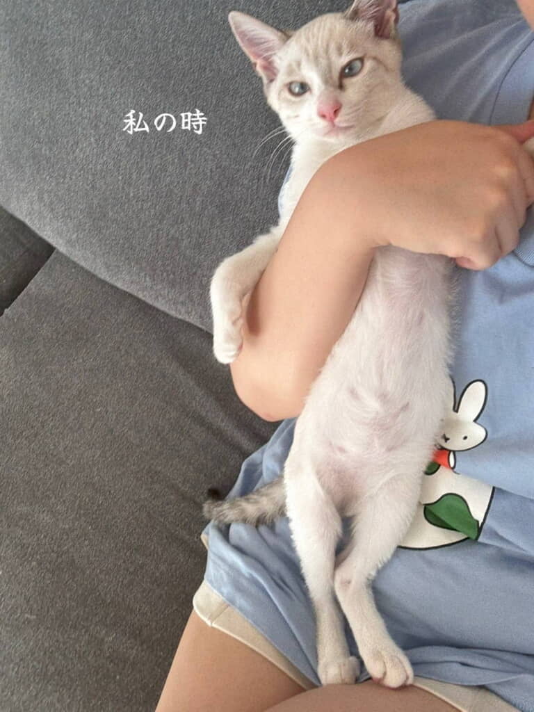 飼い主さんのときは……