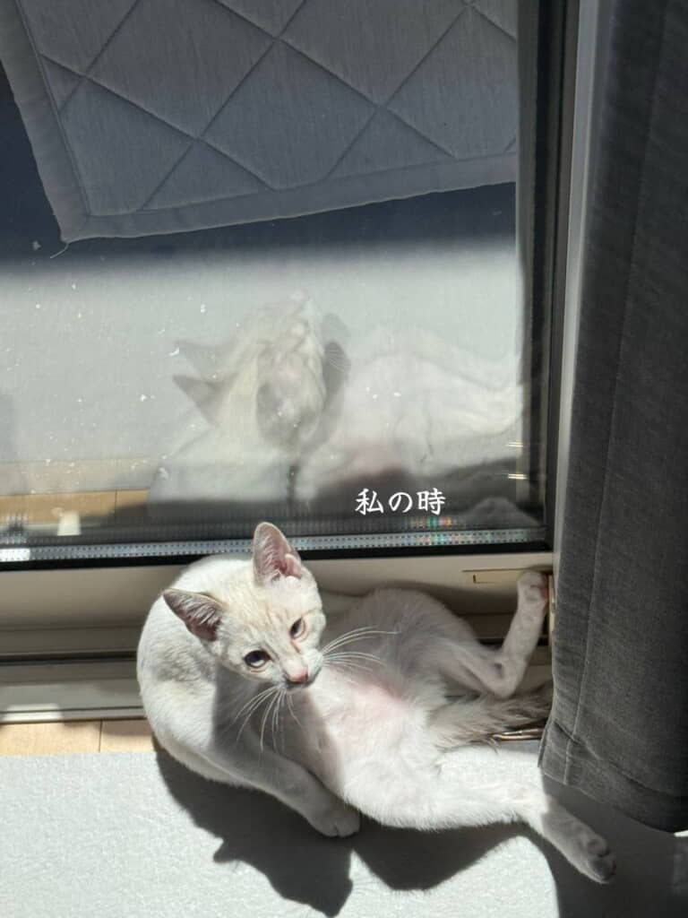 雰囲気違うような？