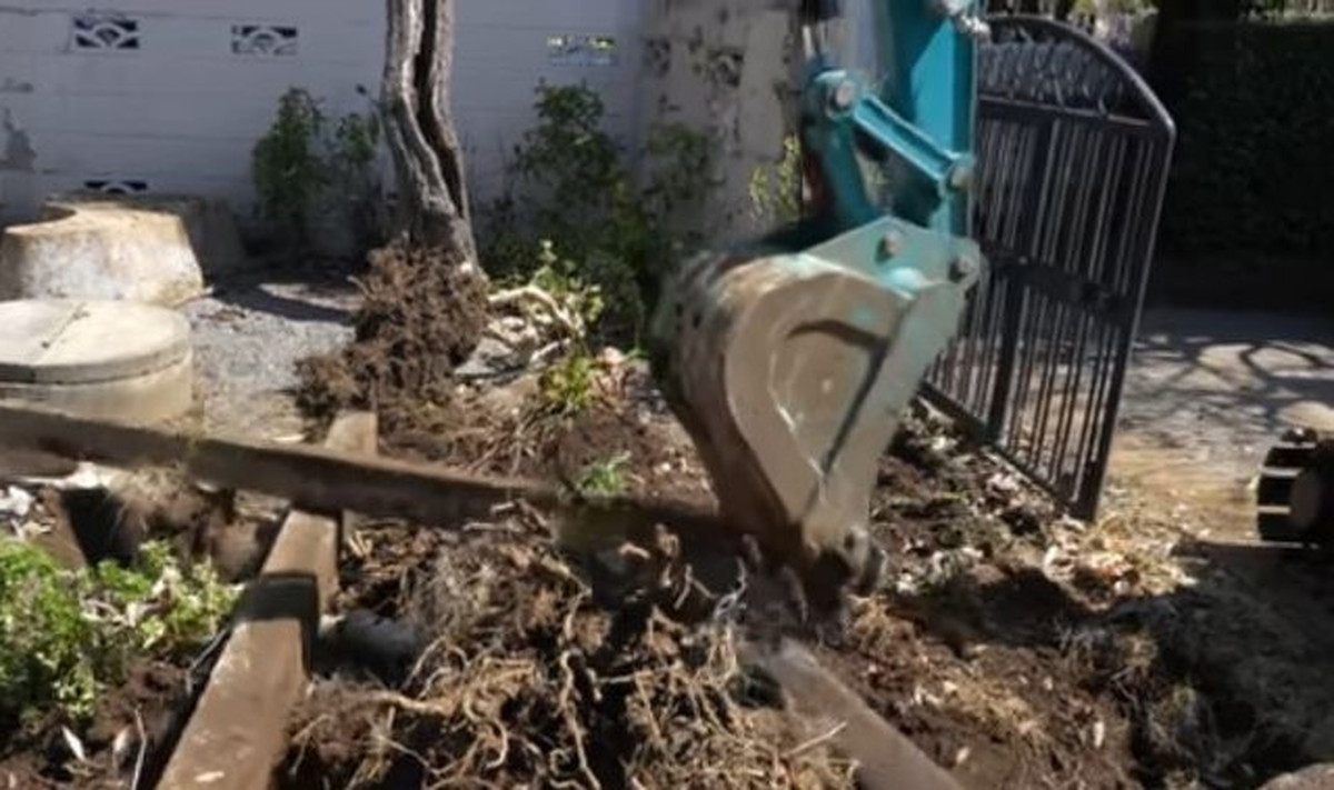 自宅に水族館作る→市販の水槽でも並べるのかと思ったら……　「笑ったwww」“ありえん光景”に「レベルが違った」（1/3） | ライフハック ねとらぼ