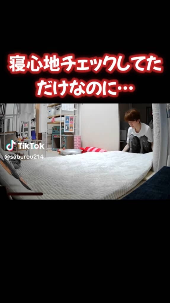 新しいラグを敷いている飼い主さん