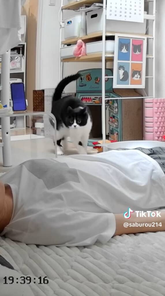 ガン見しているさぶろうくん