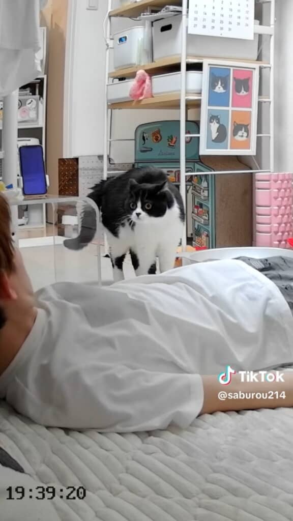 見つめ合うふたり