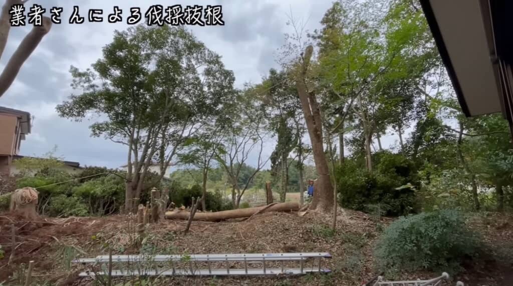 業者さんによる伐採抜根