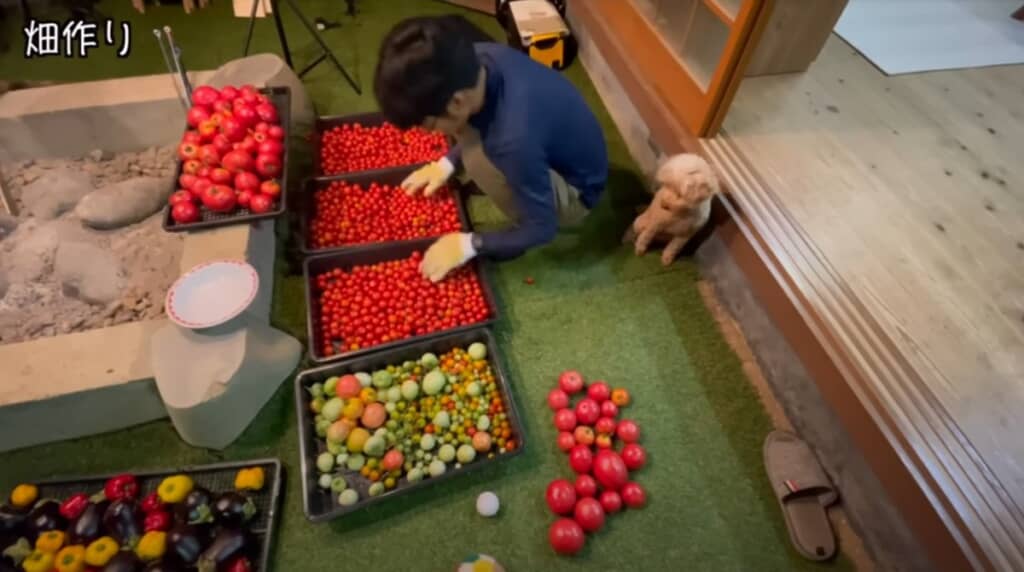 たくさん収穫できました