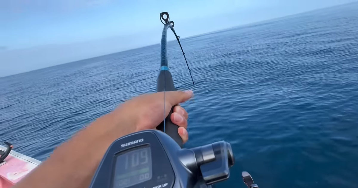 夏の北海道の海で釣りをしたら……「やっば！」　姿を現した“とんでもない怪物”に「鳥肌立った」「すごすぎ！」（1/3） | その他生き物 ねとらぼ