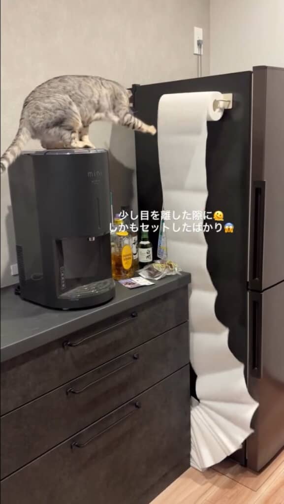 キッチンから異音が……