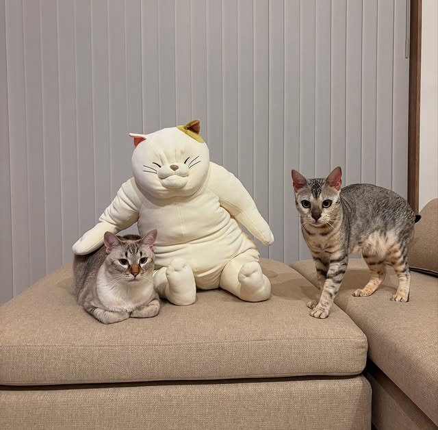 キッチンから異音が……