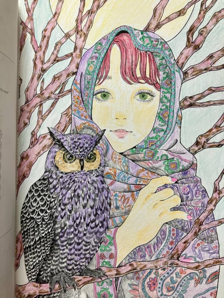 細かなところまで丁寧に塗られた美しい塗り絵